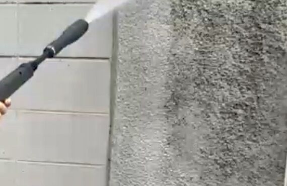 外壁のコケ除去おまかせください‼